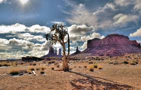 Move-Out Cleaners in Lone Tree Colorado